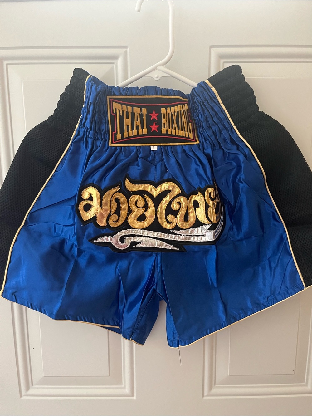 Muay Thai boxing Shorts